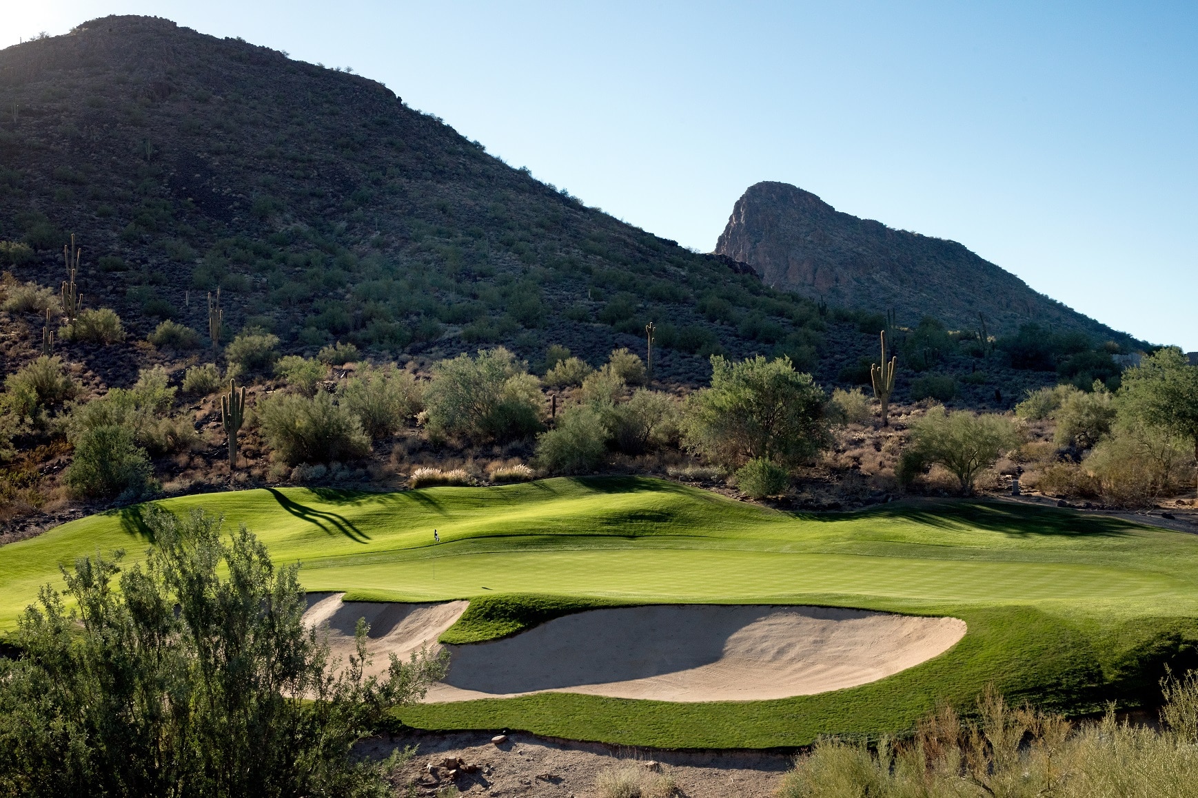 safari golf az