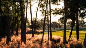 Brian Oar - Fairways Photography 2012