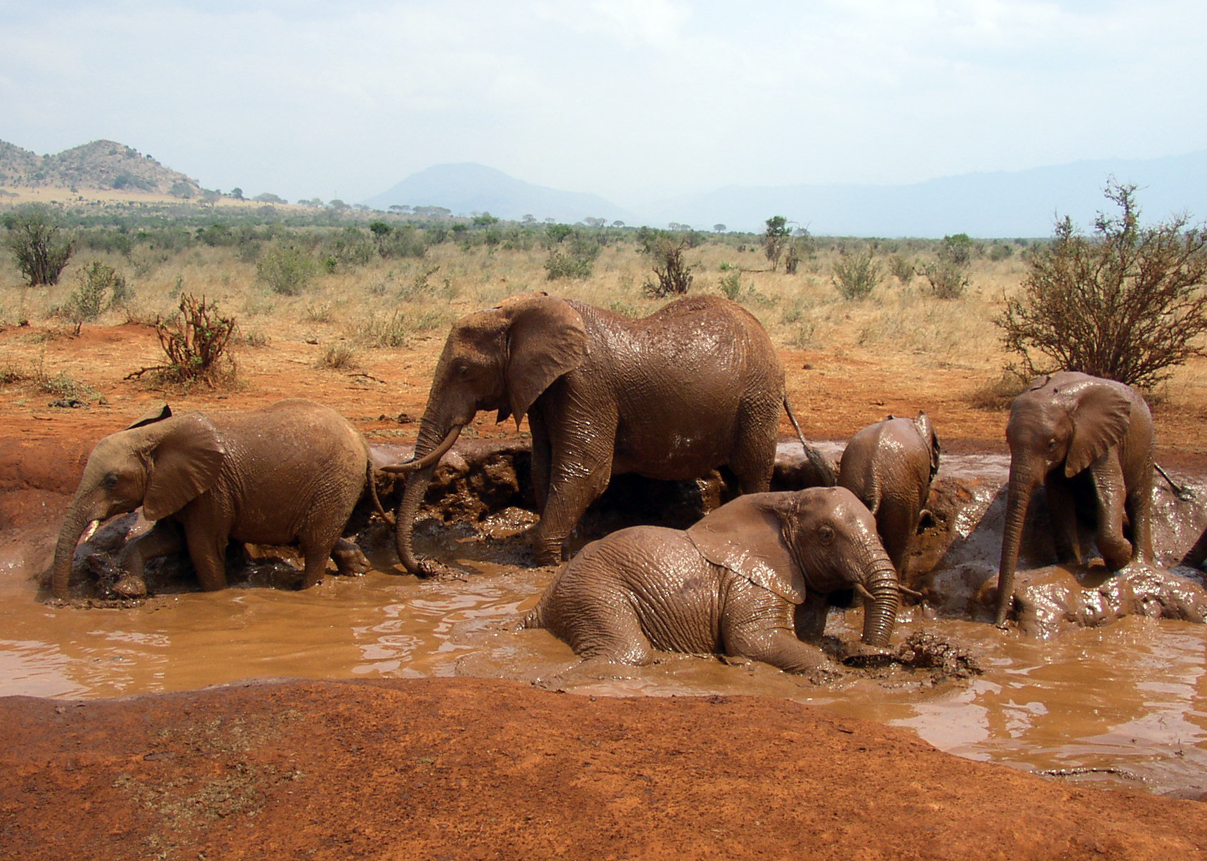 voyage gendron kenya