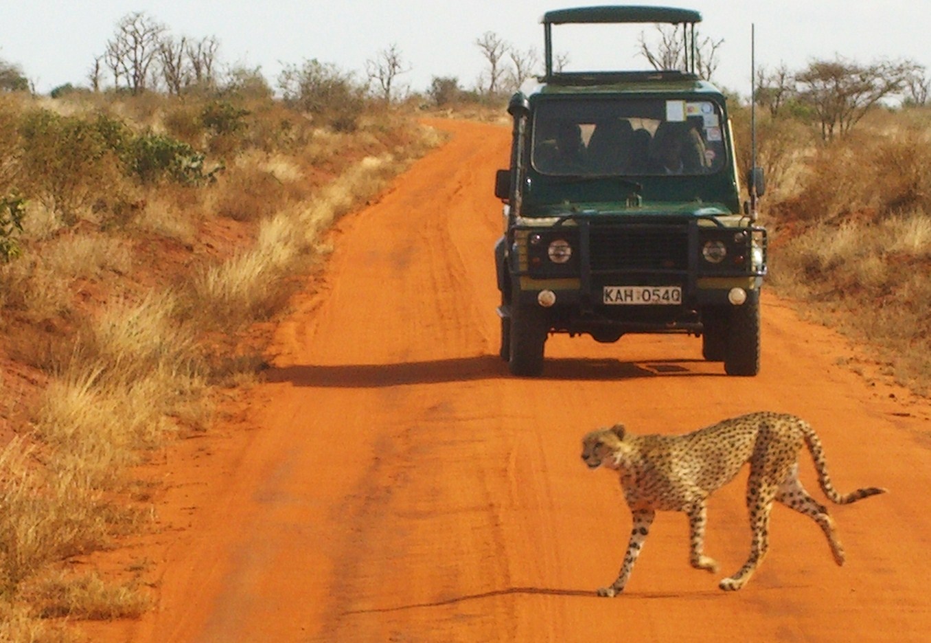 voyage gendron kenya