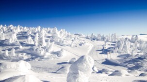 Big White Ski Resort