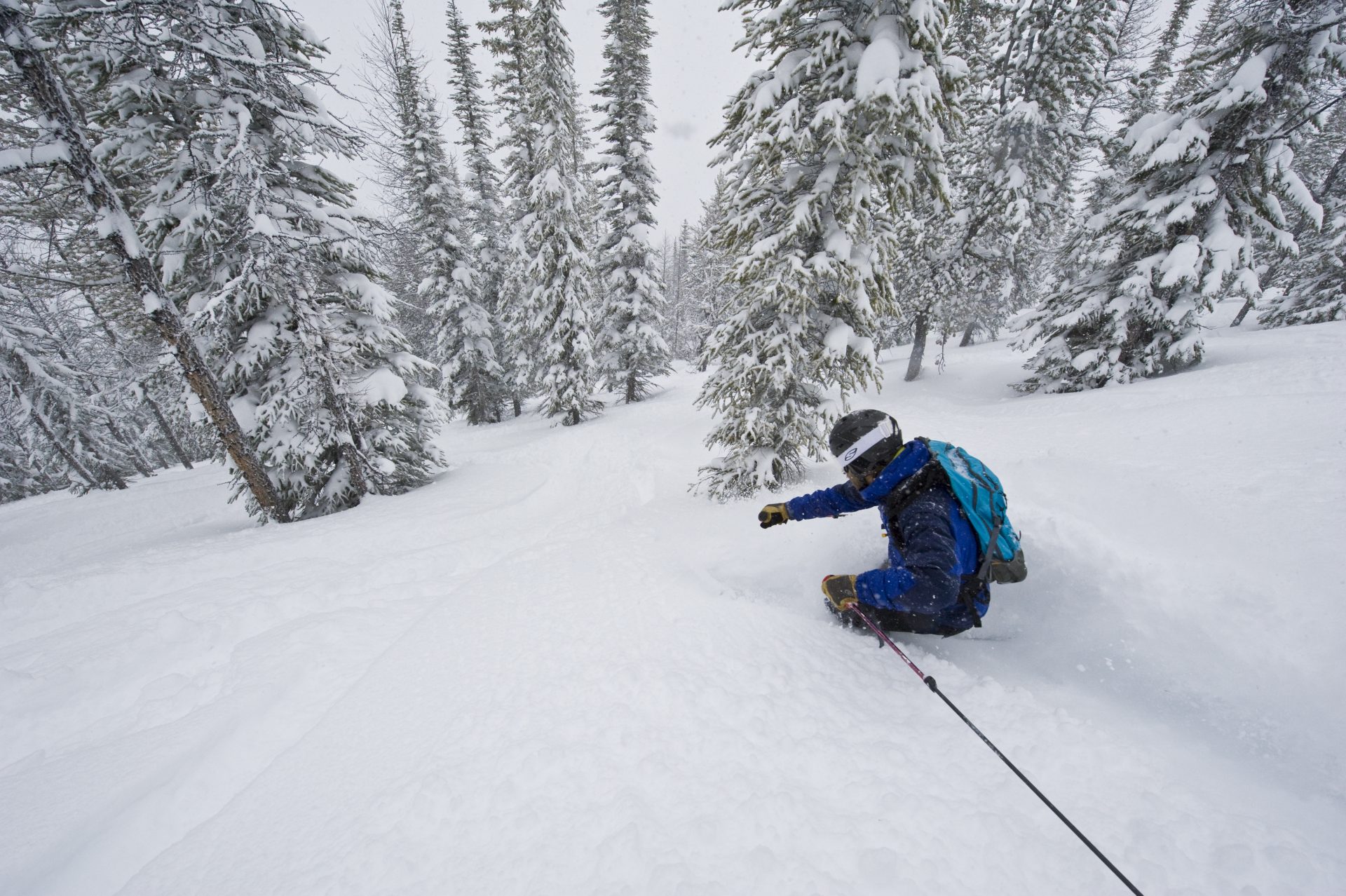 voyage ski panorama