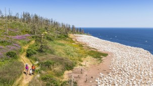 Île Bonaventure / Mathieu Dupuis