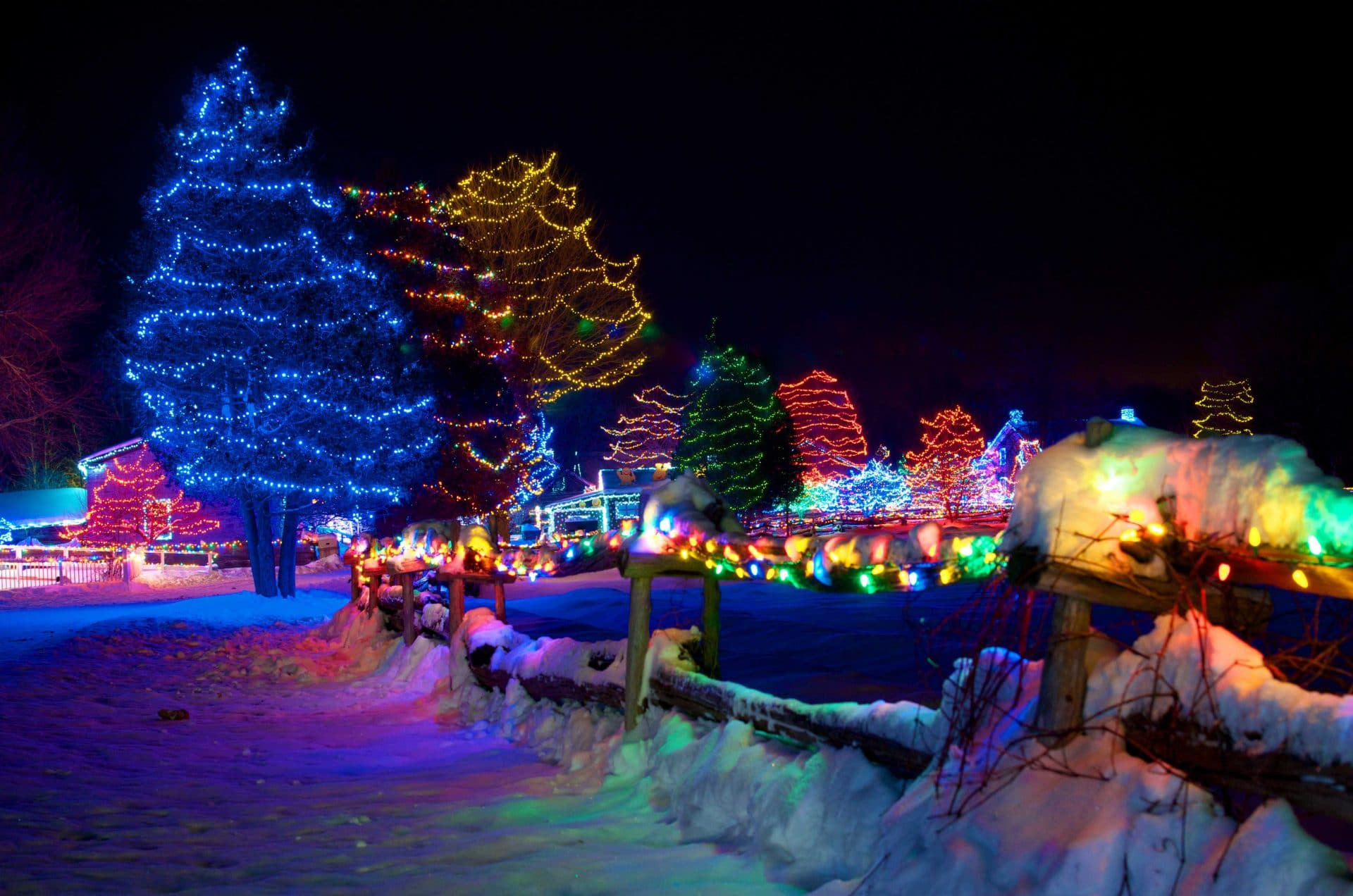 Image result for Alight at Night 2019