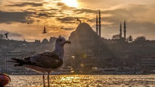 mucahityildiz
