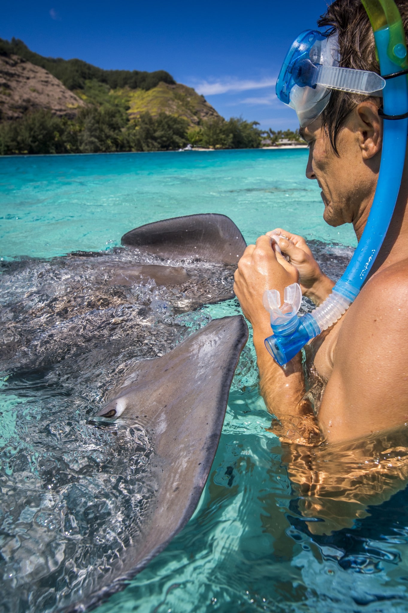 agence de voyage gendron tahiti